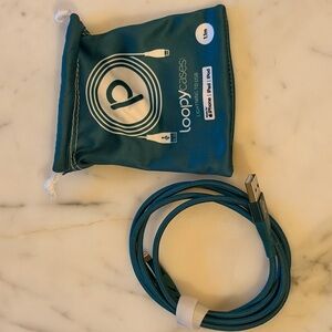 Loopy Case Teal Charger Cable